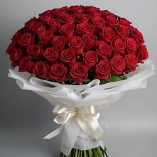 Букет 101 Красная роза Блэк Мэджик в Кожве