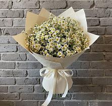 Букет цветов из:  Ромашки в Кожве