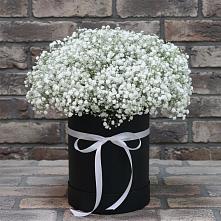 Цветочная композиция из Гипсофила в шляпной коробке #REPLACE_PRED# Кожве