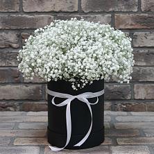 Цветочная композиция из Гипсофила в шляпной коробке в Кожве