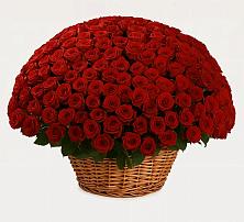 Премиум букет из: Розы #REPLACE_PRED# Кожве