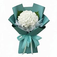 Букет цветов из:  Гортензия в Кожве